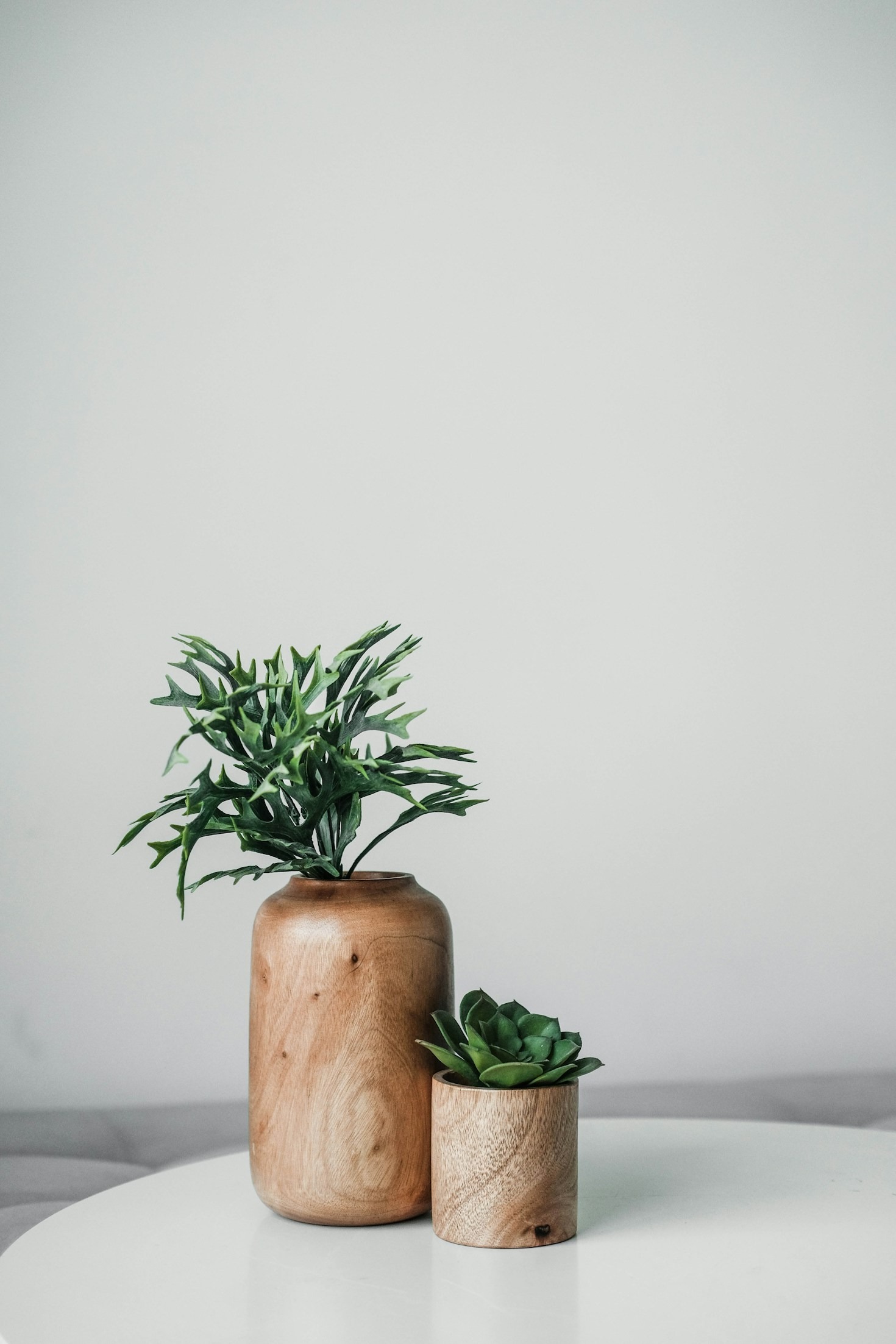 Criando um Jardim Vertical em sua Sala de Estar