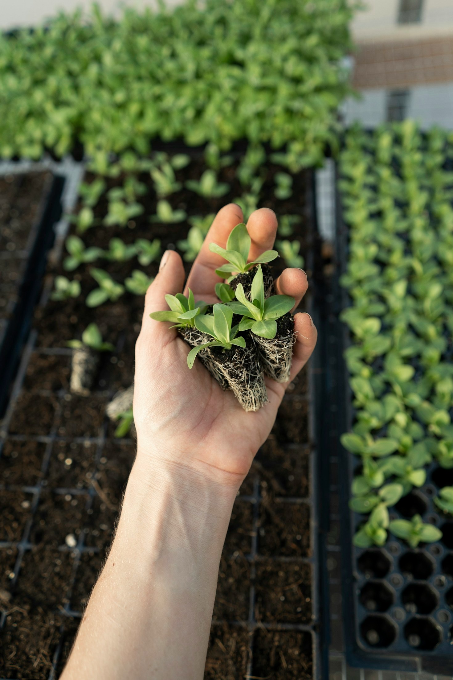 Transformando Áreas Externas em Espaços Acolhedores